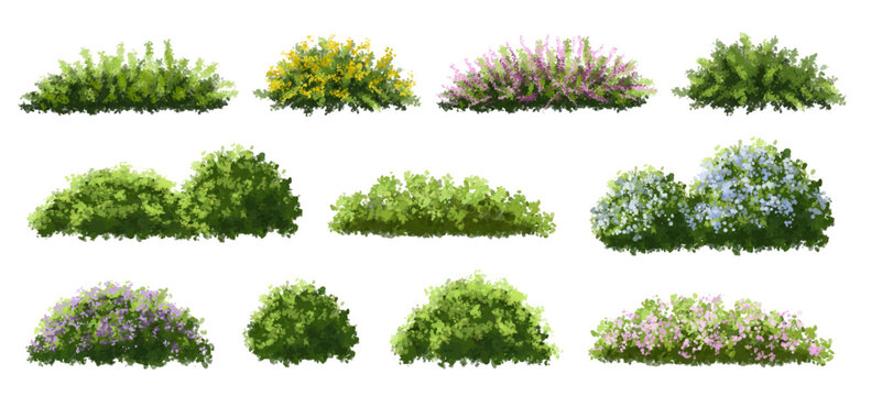 Vector of tree or blooming  side view isolated on white background ,watercolor tree elevation for landscape concept,environment scene,eco design,blossom garden for spring