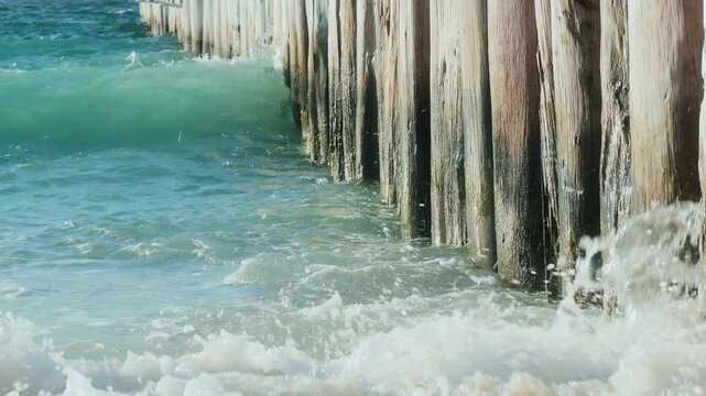sea waves and seagulls