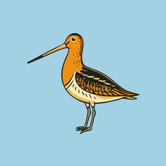 brown pelican on the branch