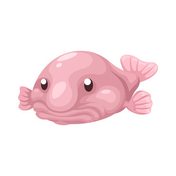 Blobfish Character Cartoon Illustration Vector