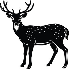 Beautiful male sika deer isolated on a white background