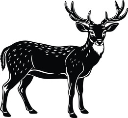 Beautiful male sika deer isolated on a white background