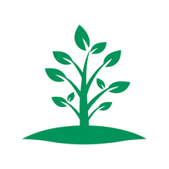 green tree isolated on white