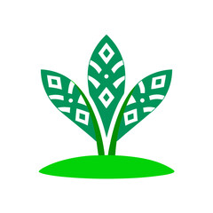 green tree with leaves