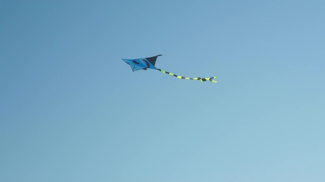 blue kide