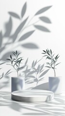 Minimalist Product Display with Elegant Shadows