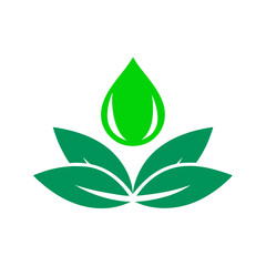 green leaf icon isolated