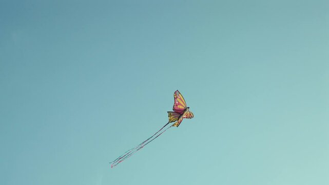 Kite butterfly