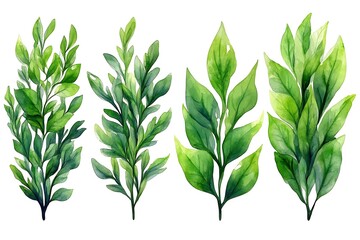 Fototapeta premium Four vibrant underwater plant illustrations with rocks.