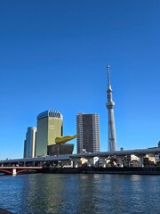 Obraz premium Tokyo Skytree