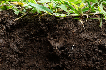 Dig cut in under soil