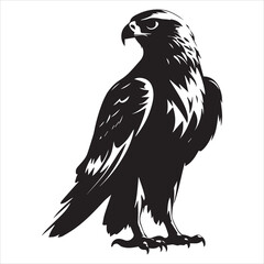 Powerful Falcon Silhouette, Perfect for Wildlife Design