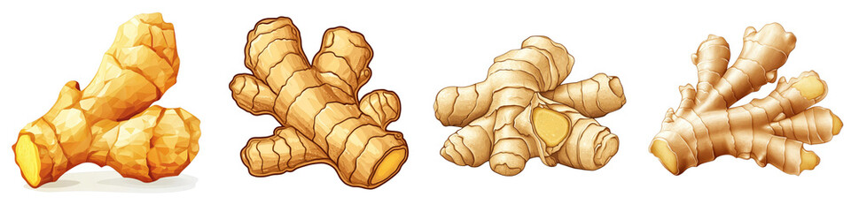 High-Quality Vector Illustration of Stitched Ginger Roots in Various Styles for Culinary and Herbal Art