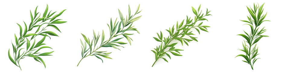 Fototapeta premium Detailed Stitched Vector Illustration of Various Green Herb Leaves in Tar Style for Creative Projects and Designs
