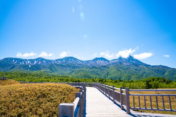 Fototapeta premium 知床五湖の遊歩道から見た景色、日本、北海道、5月