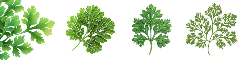 Vector Illustration of Stitched Cut Herb Leaves in Different Shades of Green for Culinary and Design Projects