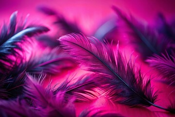 Obraz premium Vintage Pink Background with Isolated Black Feathers - Retro Style Stock Photo