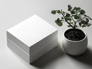Business Card Mockup