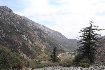 landscape in the mountains