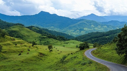 Fototapeta premium A high-altitude road winding through verdant mountains, with grazing cattle visible in the surrounding meadows