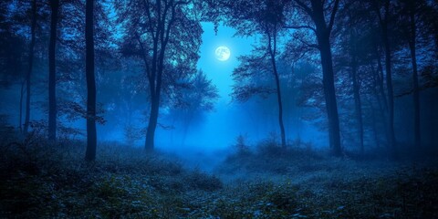 Fototapeta premium Mysterious Pathway Through a Forest at Night