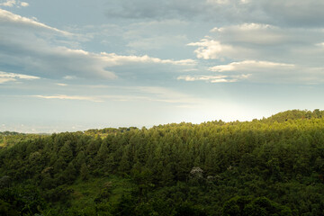 Lush Green Hills Under a Bright Sky