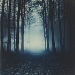 Fototapeta premium Mysterious Pathway Through a Forest at Night