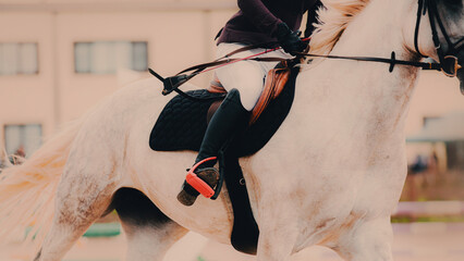 A rider is sitting on a white beautiful horse in the saddle. Horse galloping fast. This is an equestrian sport competition in horse riding.