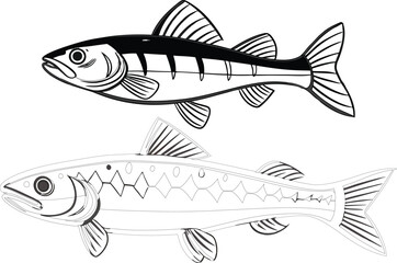 Gudgeon fish bundle line art and illustrator eps 