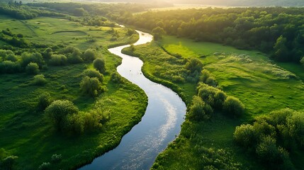 A river flowing peacefully through a lush green valley full of life