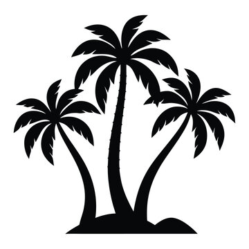 palm trees silhouette