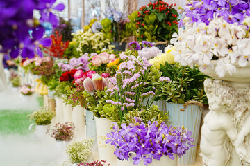  Orchid flower blooming on branch in garden and green leave background. Flower in tropical country, select and soft focus.