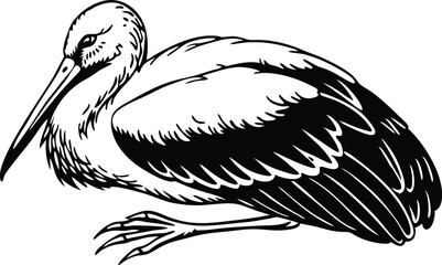 Ciconia in front of a white background vector art illustration