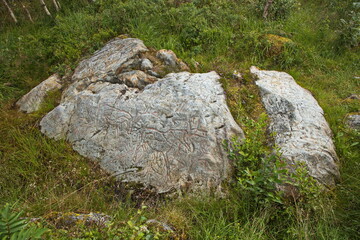 Petroglyphs in Helleristningsfelt at Forvik in Norway, Europe 
