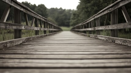 Obraz premium Rustic wooden bridge extending into a verdant forest.