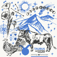 Hand drawn taurus zodiac signs illustration, horoscope background with astrology symbols and talismans