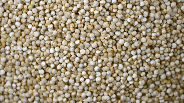 White quinoa, close-up. Chenopodium quinoa. seeds are rich in protein, dietary fiber, B vitamins, minerals. Healthy nutrition, vegan food.
