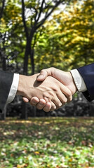 Two Businessmen Shaking Hands in a Park with Blurred Background Showing Nature's Beauty