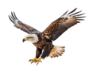 Fototapeta premium Powerful Eagle in Flight, Isolated on Transparent Background