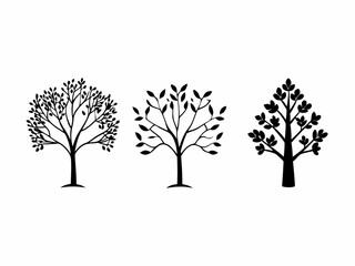 Obraz premium Three Silhouettes of Trees in Different Seasons vector bundle design