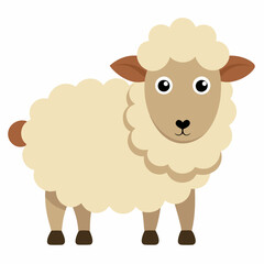 illustration of sheep