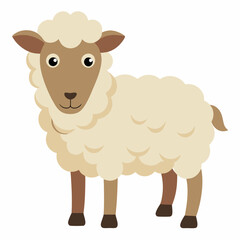 illustration of sheep