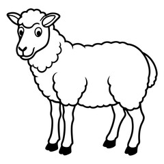 illustration of sheep