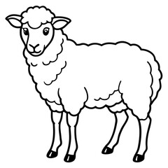 illustration of sheep