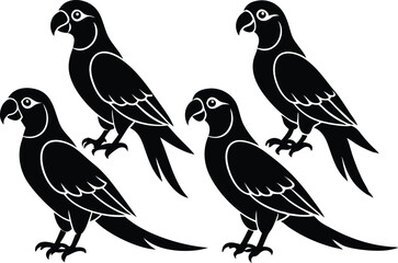 A set of minimalistic parrot birds in different poses silhouette on a white background isolated.