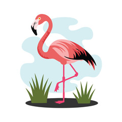 Pink Flamingo nature  Illustration 
