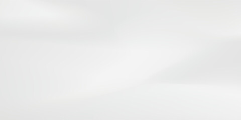 Abstract white and gray background. smooth abstract background, blurred pattern. Light pale vector background. Abstract pale geometric  arts