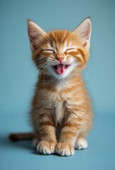 Fototapeta premium Adorable and Playful Ginger Kitten Smiling Brightly Against a Soft Blue Background Creating a Joyful and Heartwarming Atmosphere for Animal Lovers