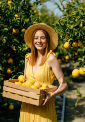Obraz premium Woman in yellow dress collecting fresh lemons in a sunny orchard during harvest season