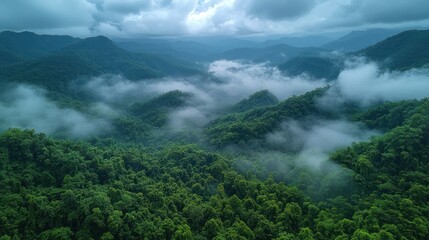 Misty mountains covered in lush green forest with low hanging clouds